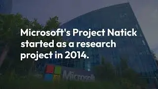 Microsoft project Natick
