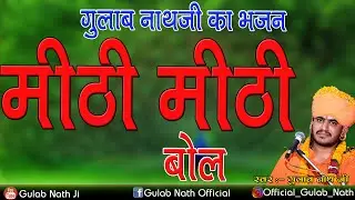 मीठी मीठी बोल | Gulab Nath Ji Bhajan | New Bhajan