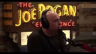 JOE ROGAN reacts to my 14 foot PYTHON catch!
