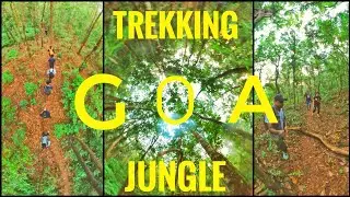 #Trekking | #Jungle | #Goa