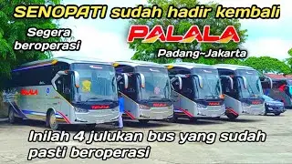 Bus PALALA || Segera Nge LINE / sudah pasti beroperasi PADANG~JAKARTA
