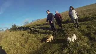 Castleside Loop