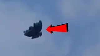 Is this a biological drone or a UFO?