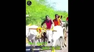 சாரதி/கூடலூர் அமரன்Reckla race jinkili editz#1m #owneditz #support #reels