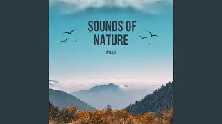 Sounds of Nature