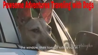 Pawsome Adventures Traveling with Dogs