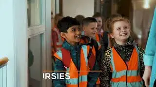 De kwikstaart in bedrijf
