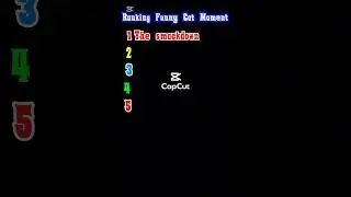 best cat video ever 😅                    #rankingvideo #bestrangolivideo