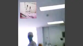 nov. 13