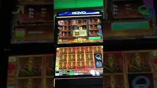 Book of Ra Fixed Bonus🤑 20+20ct. ‼️VOLLAUSZAHLUNG‼️ + 160€ Hochgedrückt..