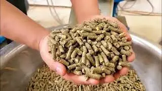 small feed pellet machine plant ，animal feed pellet processing line