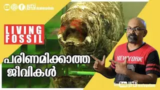 Do Living Fossils Disprove Evolution? | Coelacanth Fish Malayalam | Lucy |  Chandrasekhar. R 🐡