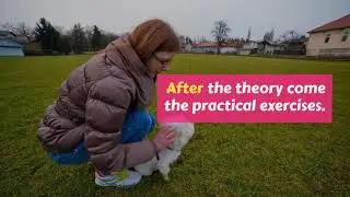 Brain Training For Dogs Pdf - Worth Trying?