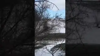 Fail off-road on the audi a8