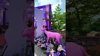 Carnival Theme Wedding Decoration |Colorful Event Setup by Events Cookie #eventscookie #indiawedding