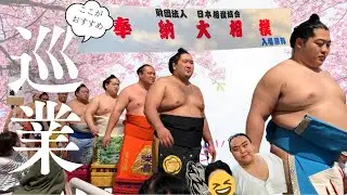 イチオシ巡業/力士/桜/神社【靖国神社奉納大相撲2024】小滝山さんと2ショットも 撮りました　SUMO