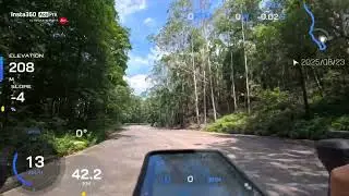 大樹下西路