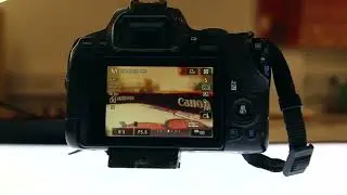 CANON CAMERA FOCUSING TUTORIAL
