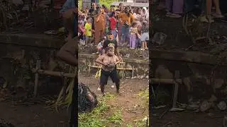 KEBOAN NGAMOK AGUNG WILIS