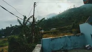 BEST VIEW @PAWANNEGI525 #pahadicat #cat #catvideos #children #childrenvideos #bestvideoforchild