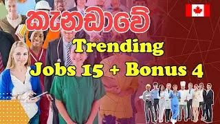 කැනඩාවේ trending jobs 15|Trending Jobs Canada 2022|Canada Sinhala Vlog | Canada Job visa|workpermit