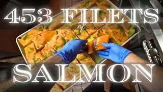 75 Minutes of Cooking Salmon #chef #pov #povchef #background #ambient  #cook #cooking #foodie