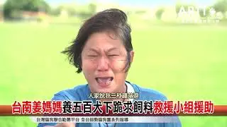 【貓狗聯合勸募】台南姜媽媽狗園數百毛孩缺糧互咬受傷 動物救援小組捐糧援助