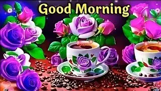 Good Morning status ,🌹 Good  Morning shayari , 🌹Good Morning video , 🌹Good Morning 