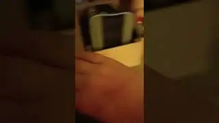 asshole cat