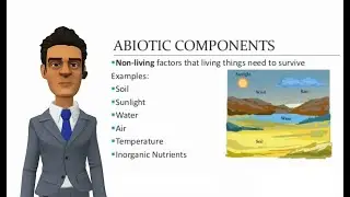 What is abiotic? full definition