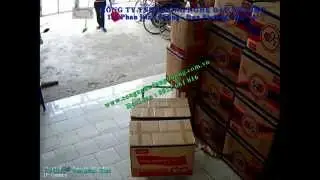 Hệ thống camera IP gi&aacute;m s&aacute;t C&ocirc;ng ty TNHH Vela Viet Nam