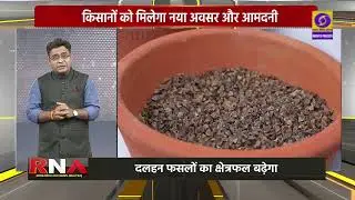 Pulses Power India&rsquo;s Future | Farmers, Nutrition & Growth | देखिए Research and News Analysis