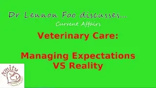 Veterinary Care: Managing Expectations VS Reality
