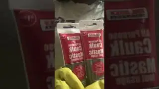 Dollar Tree
