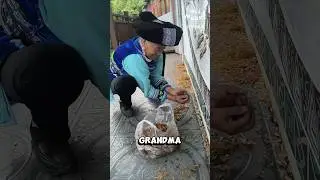 Flying Termite = Flying Protein