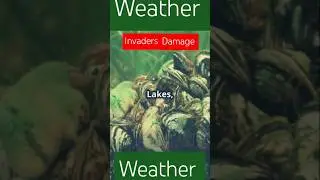 Invaders damage Great Lakes#weather#greatlakes#Weather-g6r#climate#news#usa#alerts#updates#ytshorts