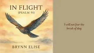 In Flight (Psalm 91) | Brynn Elise | Christian Folk Indie Song of Faith & Protection #christianmusic