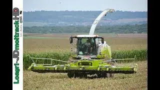12 Rangs, les hectares tombent : Jaguar 970 | Démonstration Claas Est Cheminot 2017 !