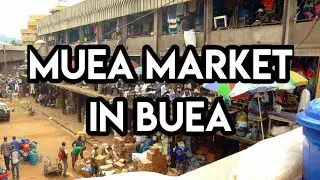 How the Anglophone Crises turned Muea Market into a trap  🇨🇲