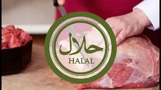 Si të veprojmë me mishin që na sjellin të afërmit, pasi nuk e dimë a është hallall?