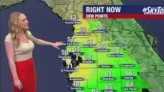 Sunday night forecast