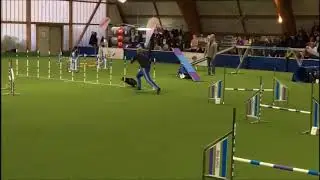Agility German Classics 2017 Silas und Beam