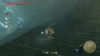 Botw bls snowball