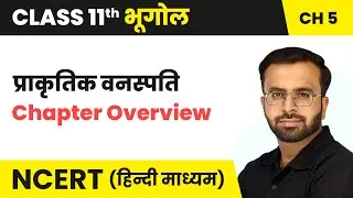 प्राकृतिक वनस्पति (Prakratik Vanaspati) - Chapter Overview | Class 11 Geography Chapter 5