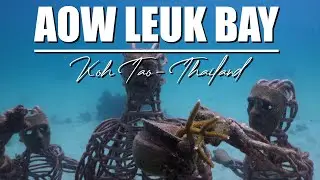 Aow Leuk Bay: Explore Koh Tao&rsquo;s Hidden Underwater Paradise