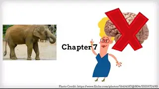 Chapter 7: Elephant in the Room: Advisors Themselves With Diminished Capacity