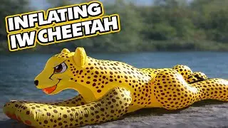 Bringing the IW Cheetah to Life 🐆✨ Inflation Time on the Lake!