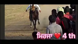 ਪਿੰਡ ਦਹਿਲੀਜ਼(ਮਲੇਰਕੋਟਲਾ)ਖੇਡਦੇਜੈਤੂ ਰਿਹੇਪਹਿਲੇਸੱਤਘੋੜੇ🐴। ਬਾਹੂਬਲੀ,ਪੀਟੀਊਸ਼ਾ,ਮਿਰਜ਼ਾ,ਕਰਮਾ,ਬਾਦਸ਼ਾਹDATE..2/4/25