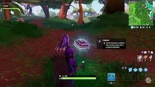 Fortnite Fortbyte #47 - Found Between Reboot Van, Pirate Camp, Crashed Battle Bus Location Guide