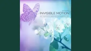 Invisible Motion